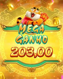 333db price